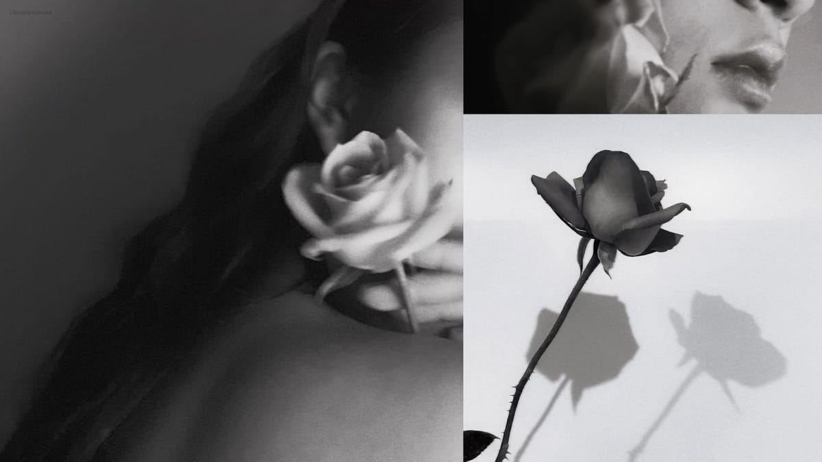 The Way of Dust: The Genesis of LibrasGreyScale